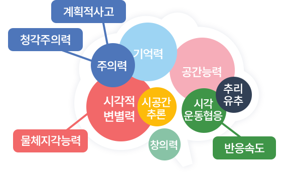 두뇌 그림 예시 주의력:계획적사고,청각주의력, 시각적 변별력:물체지각능력, 기억력, 공간능력, 시공간추론, 창의력, 시각운동협응:반응속도, 추리유추