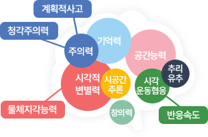 두뇌 그림 예시 주의력:계획적사고,청각주의력, 시각적 변별력:물체지각능력, 기억력, 공간능력, 시공간추론, 창의력, 시각운동협응:반응속도, 추리유추 