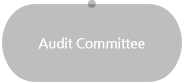 Audit Committee